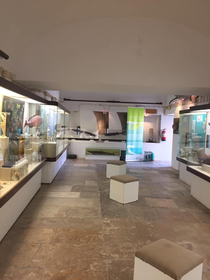 Museu Oceanográfico