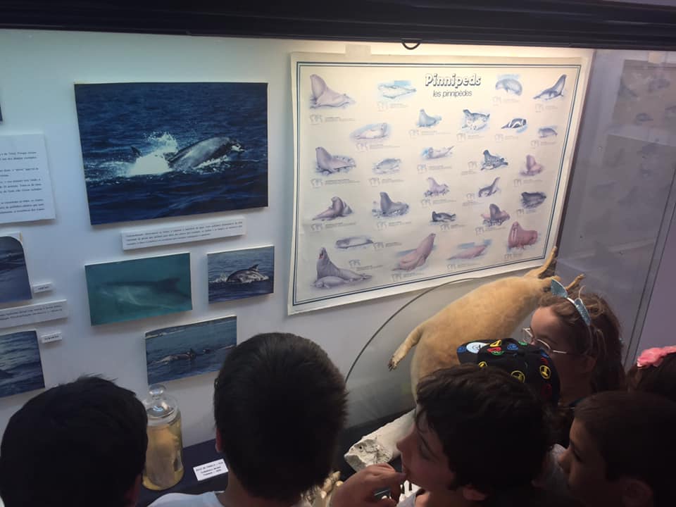 Museu Oceanográfico1