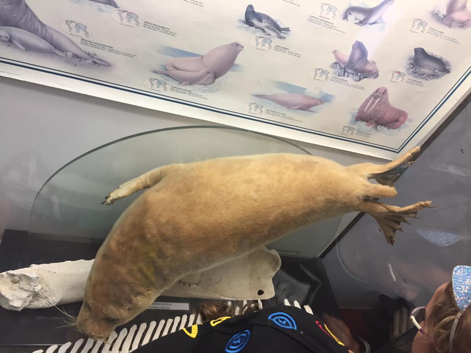 Museu Oceanográfico2